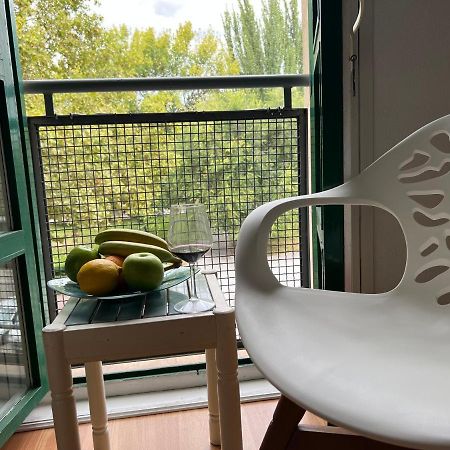 Un Rincon Con Vistas Al Parque Wifi Junto A Catedral By Apartamentos Logroño Exterior foto